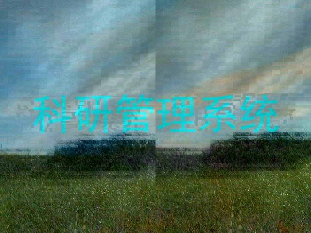 科研管理系统