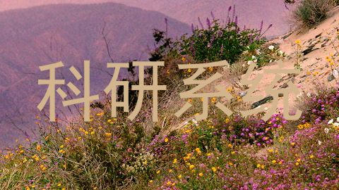 科研系统