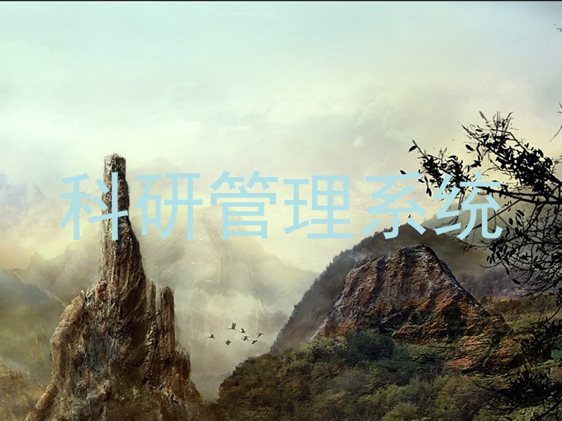 科研管理系统