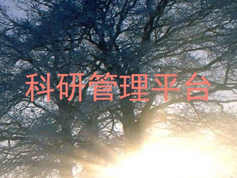 科研管理平台
