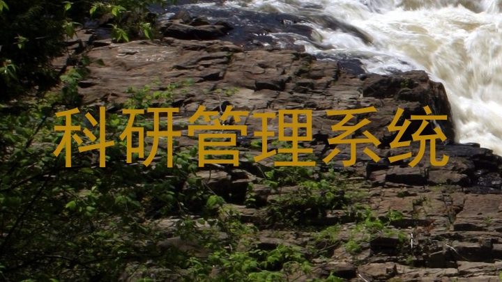 科研管理系统