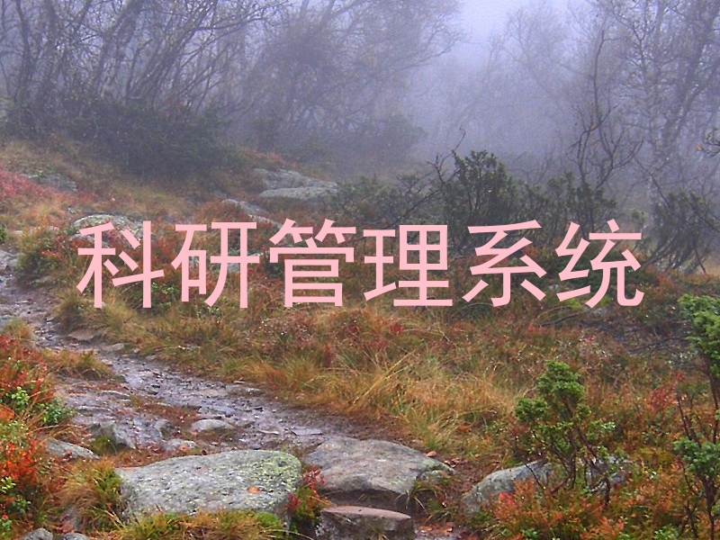 科研管理系统