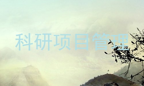 科研项目管理