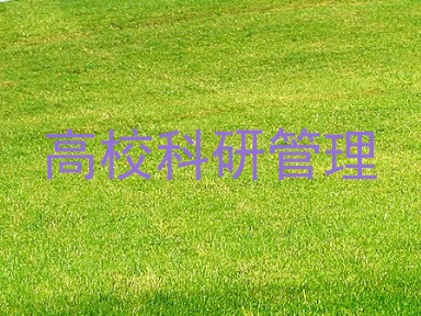 高校科研管理