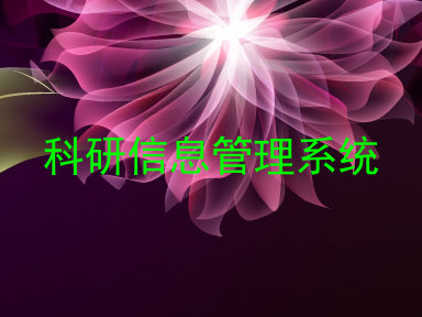 科研信息管理系统