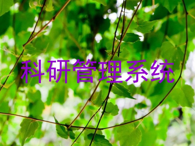 科研管理系统