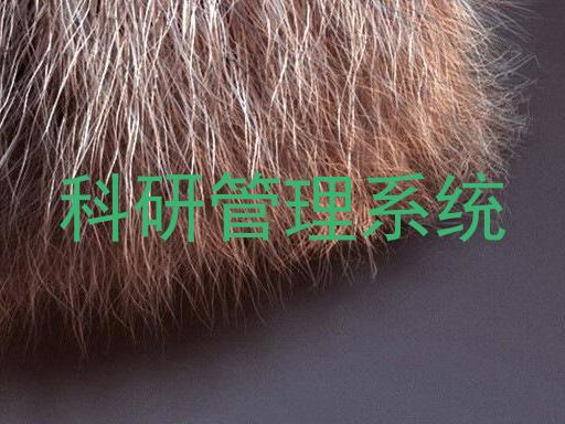科研管理系统