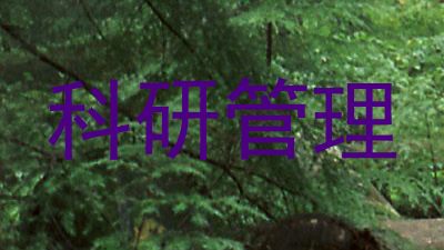 科研管理