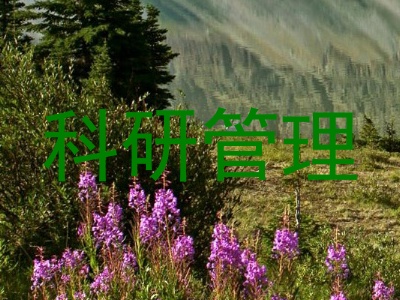 科研管理