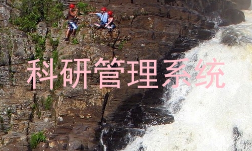 科研管理系统