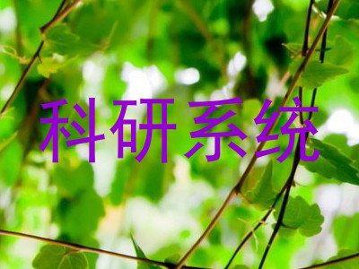 科研系统
