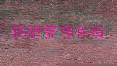 科研管理系统