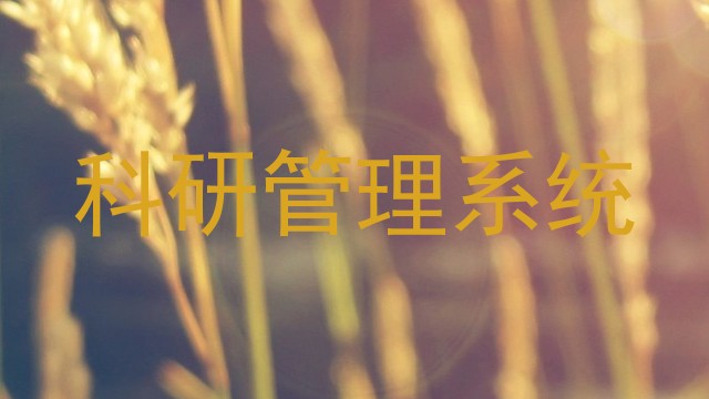 科研管理系统