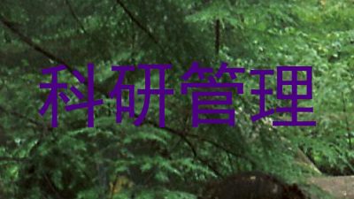 科研管理