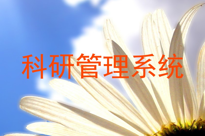 科研管理系统