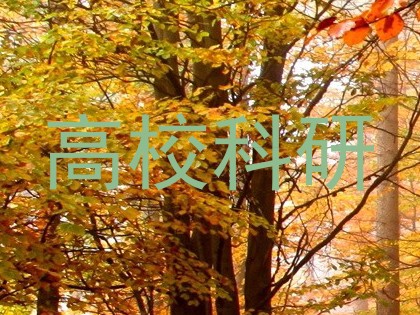 高校科研