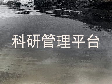 科研管理平台