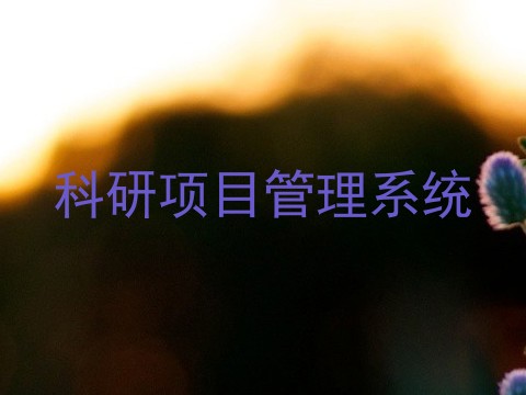 科研项目管理系统
