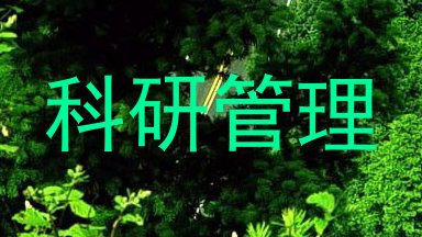 科研管理