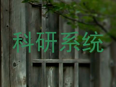 科研系统