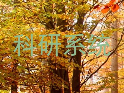 科研系统
