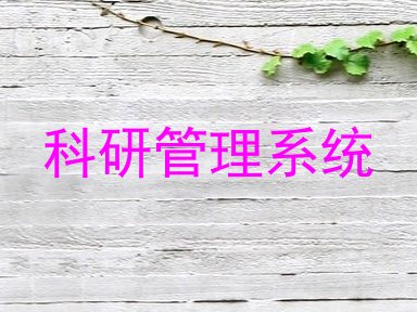 科研管理系统