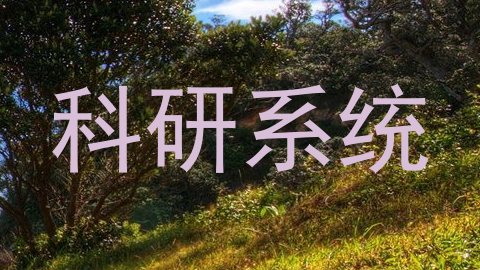 科研系统