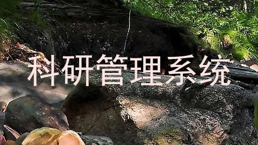 科研管理系统
