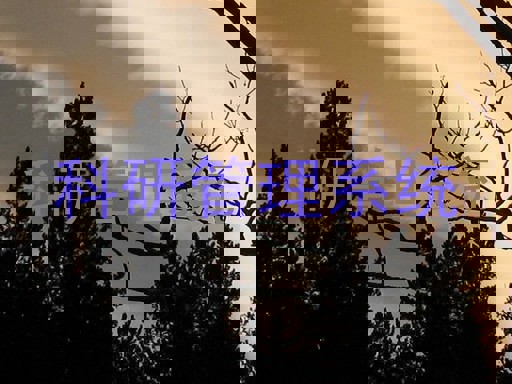 科研管理系统