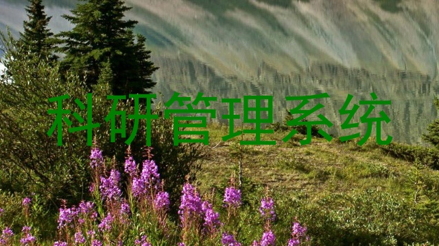 科研管理系统