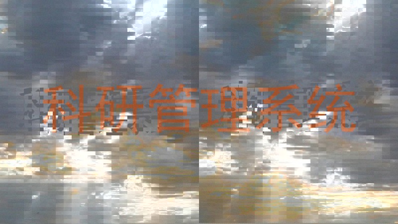 科研管理系统