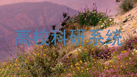 高校科研系统