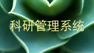科研管理系统