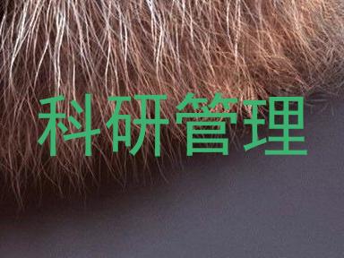科研管理