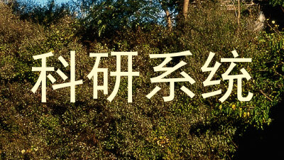 科研系统