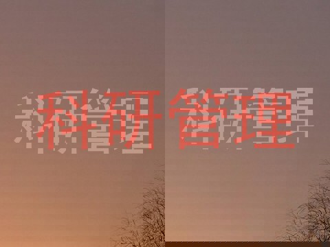 科研管理