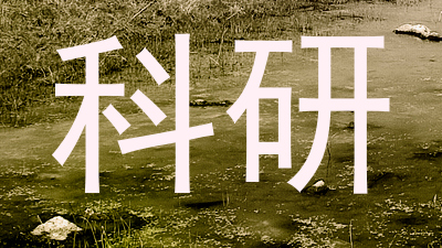 科研