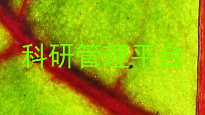 科研管理平台