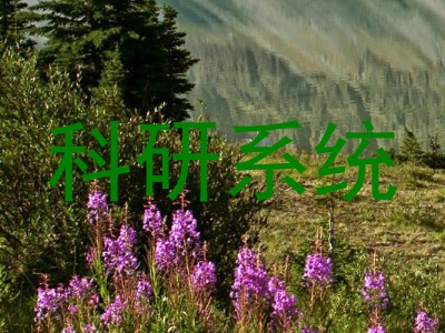 科研系统