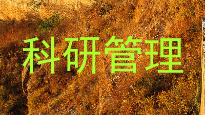 科研管理