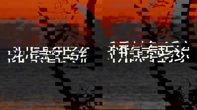 科研信息管理系统