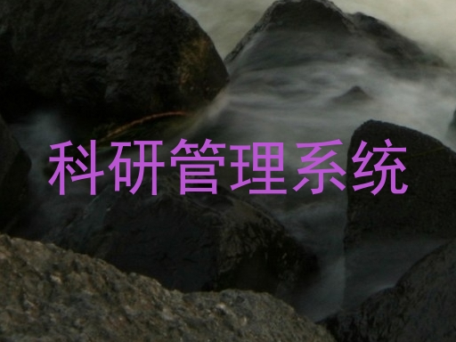 科研管理系统
