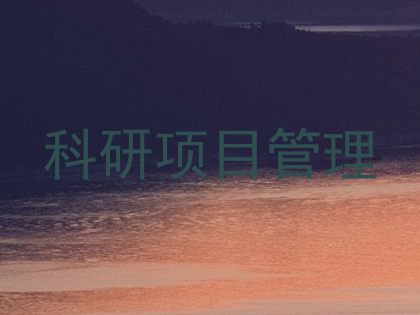 科研项目管理