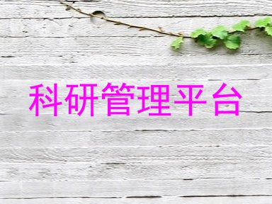 科研管理平台