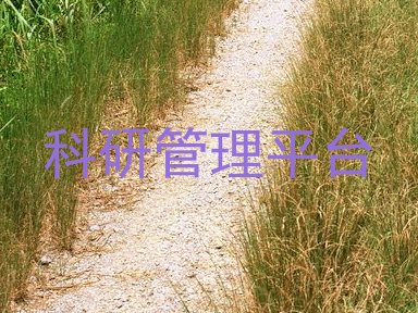 科研管理平台