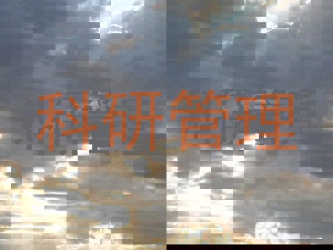 科研管理