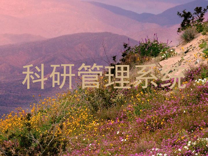 科研管理系统
