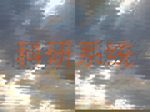 科研系统