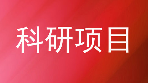 科研项目
