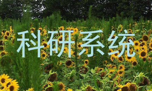 科研系统
